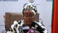 Mmamoloko Kubayi impressive CV, career, wedding and interesting facts