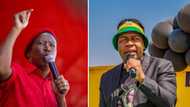 Malema's friendship with ANC's Masina won't cloud EFF's judgement in Ekurhuleni vote of no confidence