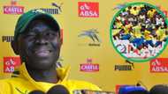 Steve Komphela is Mamelodi Sundowns' new sneior coach, SA split over decision