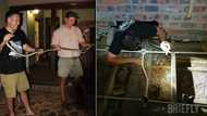 Narrow escape: Snake rescuer Nick Evans catches 1 more black mamba, peeps hail him a hero