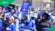 DA supporter rises from grave in viral campaign video ahead of 4 November vote