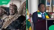 King Misuzulu and King Ndamase to visit Zimbabwe for xenophobia talks with Emmerson Mnangagwa