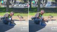 Video of Cape Town man feeding goose on side of the street touches people