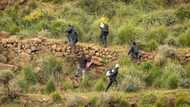 Thousands of migrants storm border fence in Spain's Melilla