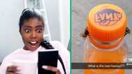 2 Bees team up to open a Fanta bottle, unbelievable video stuns social media users