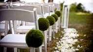 The best wedding venues in Magaliesburg