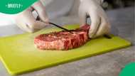 South Africa’s lab-grown meat investment sparked mixed reactions across Mzansi