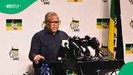 Fikile Mbalula accuses March and March of being funded to undermine democratic South Africa