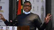 Minister Fikile Mbalula says driver's licence card printing machine is in Germany, online payments coming soon