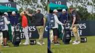Haibo: Spectator steals Rory Mcllroy's golf club from his bag on live TV