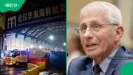 White House releases new Covid-19 documents as Fauci declines to answer questions on virus origins