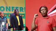 Malema says all the ANC leaders who reported to him are his 'boys and girls'