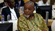 Gwede Mantashe’s eulogy at Kebby Maphatsoe’s funeral interrupted by MKMVA