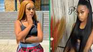 Jelly Babie books cashier she insulted to be the MC at her upcoming one woman show