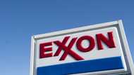 ExxonMobil dismissed own global warming forecast: study