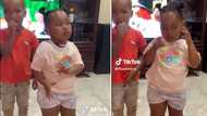 Talented child's impressive "Kilimanjaro challenge" dance gets 1.2 million views on TikTok