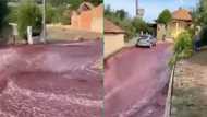 Rescue officials save Certima River from red wine flood after 2.2 million-litre tank bursts