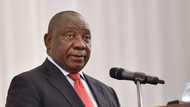 Ramaphosa had millions allegedly stashed under mattresses, around R1.2 billion squirrelled away