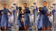 Beautiful female flight attendants move their hips in saucy aeroplane dance clip, video stirs reactions