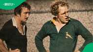 Springbok Rugby mourns former hooker Piston van Wyk after 15-Test career