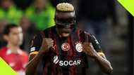 Victor Osimhen Scores Brilliant Header to Equalise for Galatasaray Against Alkmaar