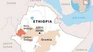 Ethiopia parliament sets up body to probe mass killings