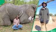 "Don't go near them": Zimbabwe tour guide shows charging elephants forcing people to rush to safety