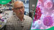 "A very promising strategy": Therapy used to treat some cancers might help fight HIV