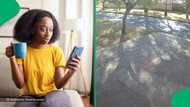 “We are doomed”: Viral video shows female jogger being mugged in broad daylight, South Africa reacts