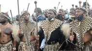 Ramaphosa recognises Prince Misuzulu as King of the Zulu Kingdom, KZN Premier Sihle Zikalala approves