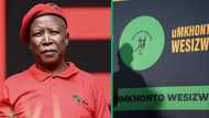 Economic Freedom Fighter's Julius Malema willing to work with pro-land expropriation parties