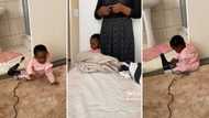 Hilarious TikTok video of toddler running from hairdryer gets 1.4 million views: Mzansi people are in stitches