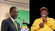 Paul Mashatile says the ANC want Ramaphosa to stay in charge