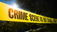 Christmas Murder: Man kills 7 in bloody attack following family squabble