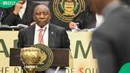 Cyril Ramaphosa opposes urgent Constitutional Court appeal over Section 89 impeachment inquiry