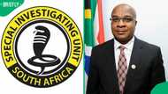 SIU uncovers Visa fraud syndicate operating across South African universities, Mzansi demands action