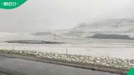 Snow falls in Eastern Cape as cold front sweeps through South Africa