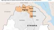 Tigray rebels accuse Ethiopia of attacks after peace deal