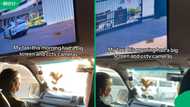 “The first class of taxis”: SA stunned by TikTok video of Pretoria taxi fitted with TV