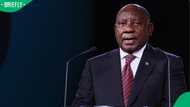 Cyril Ramaphosa fights back: Takes on Phala Phala panel report