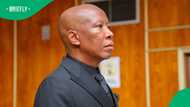 Julius Malema pre-sentencing: Social worker says Malema is not a candidate for sentencing