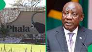 Forum for South Africa calls for President Cyril Ramaphosa resignation