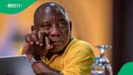 Cyril Ramaphosa doesn't expect mistreatment or embarrassment during meeting with Donald Trump