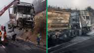 Mpumalanga police investigate malicious truck burnings on N4, SA citizens stunned