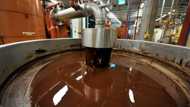 Salmonella found in world's biggest chocolate plant