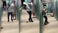 TikTok of 2 grown men running away from aggressive rat gets 31M views, millions of people in stitches