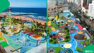 South Africans reacted to plans for a R1 billion amusement park coming to Durban’s beachfront