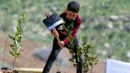 Land-based climate plans 'unrealistic': report
