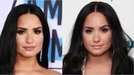 Demi Lovato dragged after announcing song about American democracy