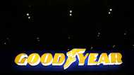 Authorities raid Goodyear sites in Europe over burst tyre deaths